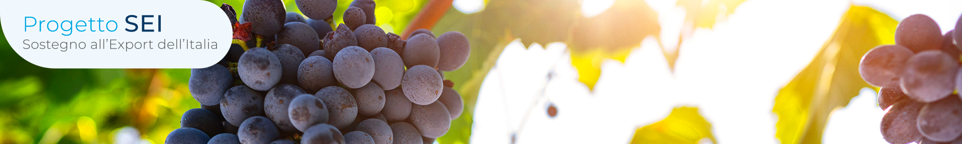 Export agroalimentare: nel 2024 vale quasi l’11% dell’export totale italiano