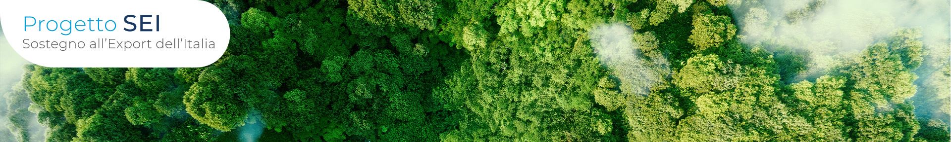 Export circolare: come l’economia green rafforza la competitività del Made in Italy