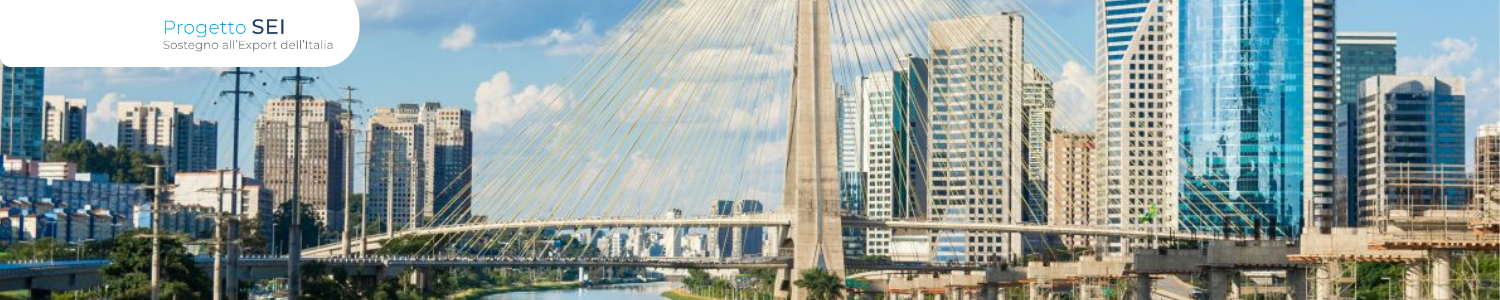 Focus Brasile: scenario economico e opportunità di mercato per le PMI italiane