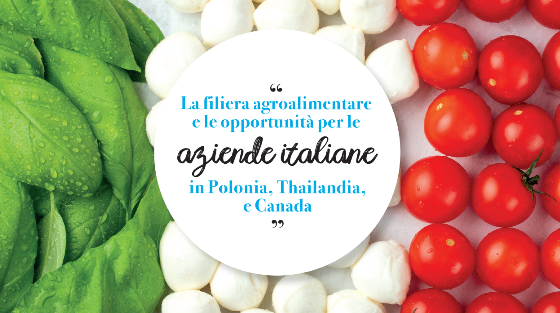 Export agroalimentare: tre webinar per orientarsi nei mercati di Polonia, Thailandia e Canada