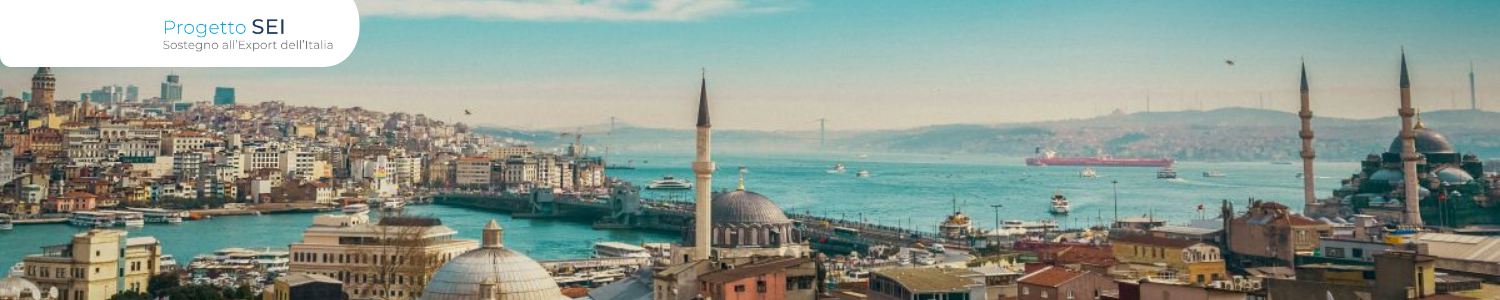 Export italiano in Turchia: opportunit&agrave;, incentivi e settori ad alto potenziale 